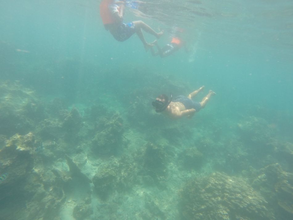 Экскурсия на остров Краби - знакомство с подводным миром
